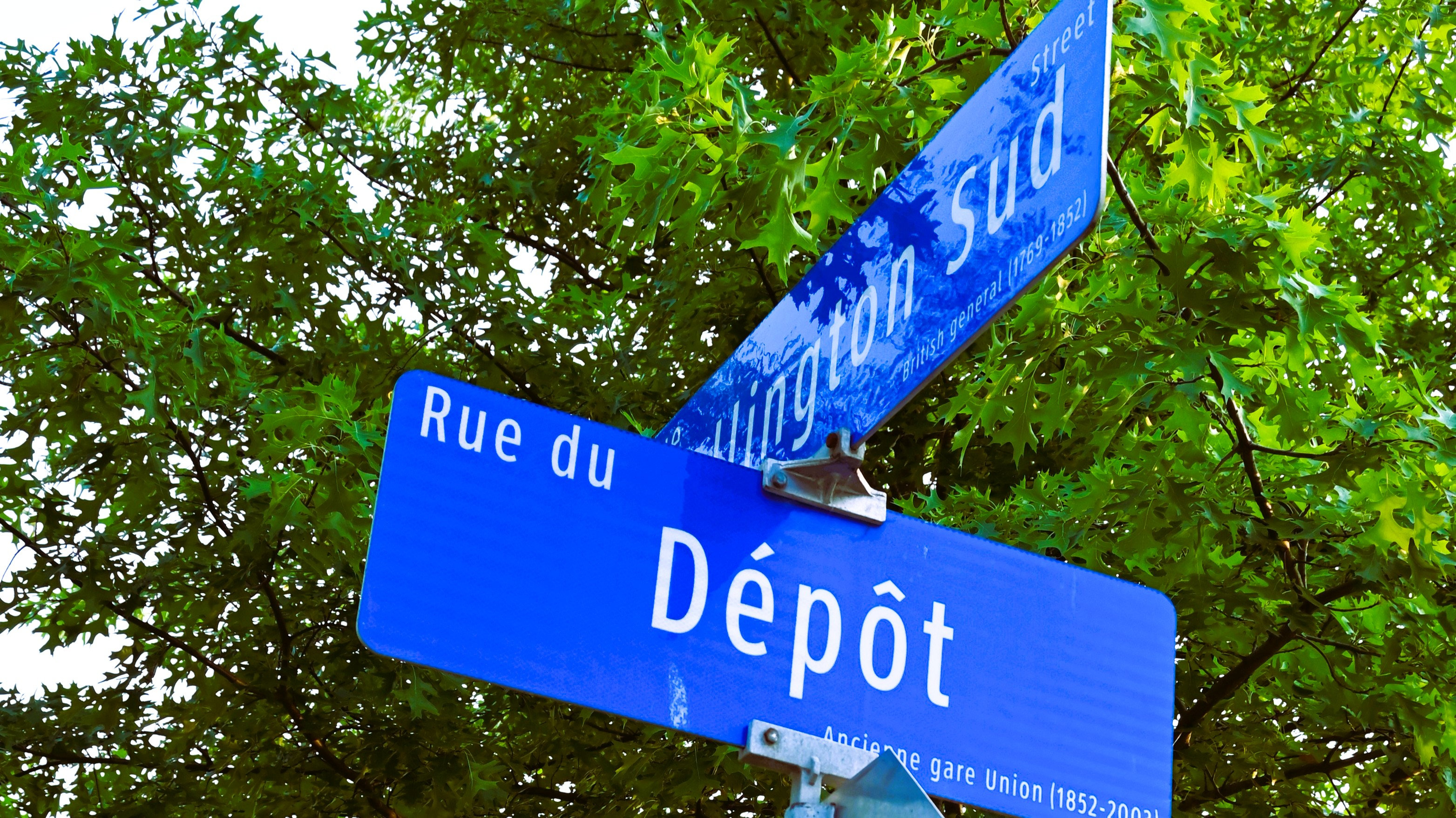 Photo de contact de l'équipe AICA